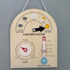 Hanging weather station